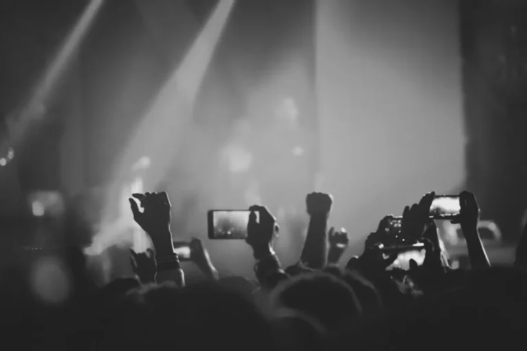 Concert Photography Roadmap