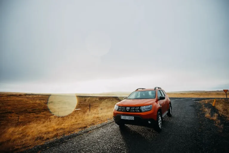 Dacia Spring: Complete Guide, Meaning, Uses, and Key Details